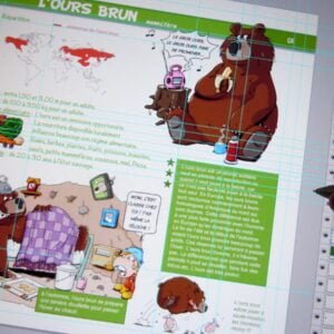 On voit la page consacrée à l'ours brun et tous les claques qui ont servi à sa création.