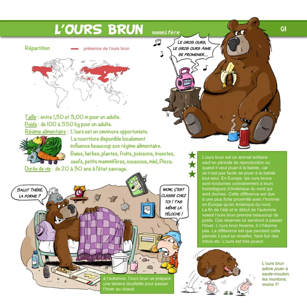 Fiche avec toutes les informations sur l'ours brun.